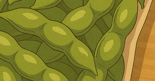 夜の数学⑰｜朝の散歩⑦『朝どり枝豆』